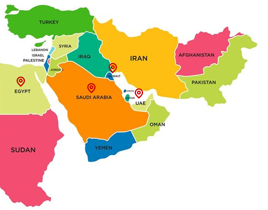 صورة الفيديو